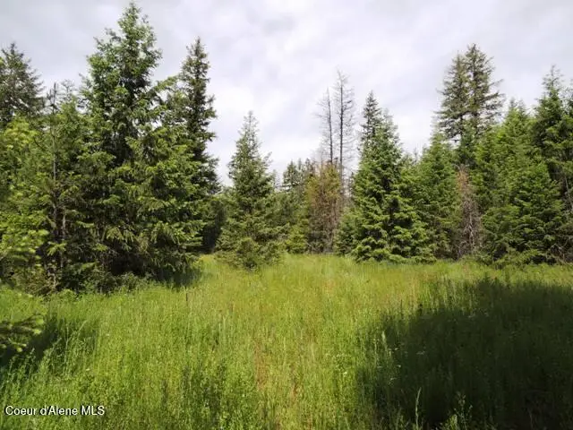 NKA Antler LN, Spirit Lake, ID 83869 - #3