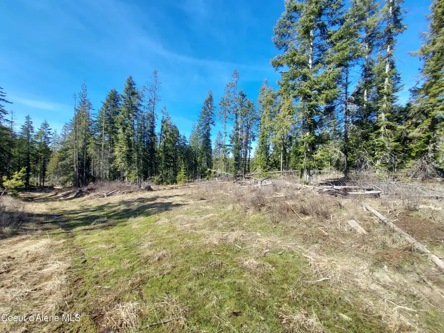 574 DORNING DR, Saint Maries, ID 83861 - #3