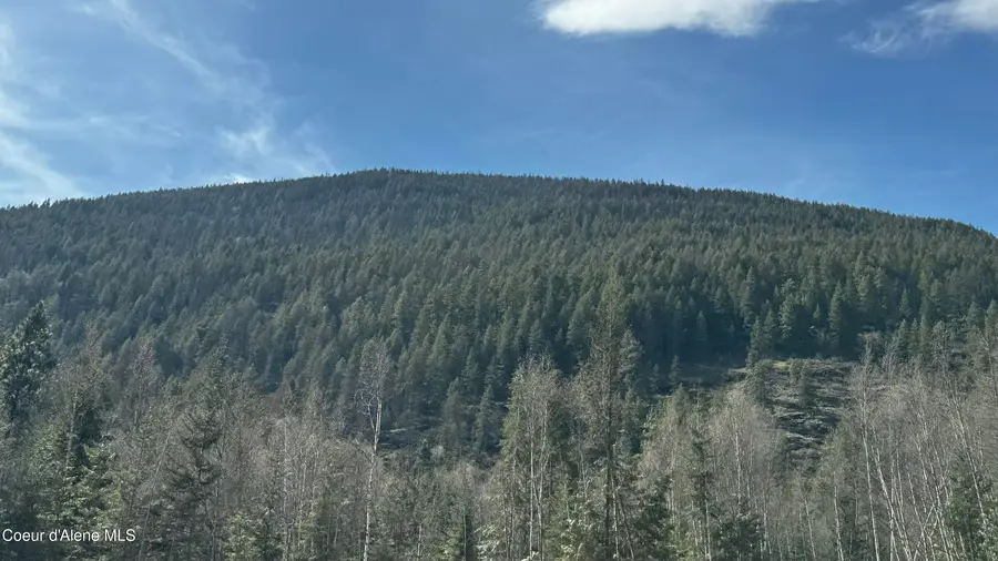 NNA WESTSIDE RD PARCEL 6, Bonners Ferry, ID 83805 - #2