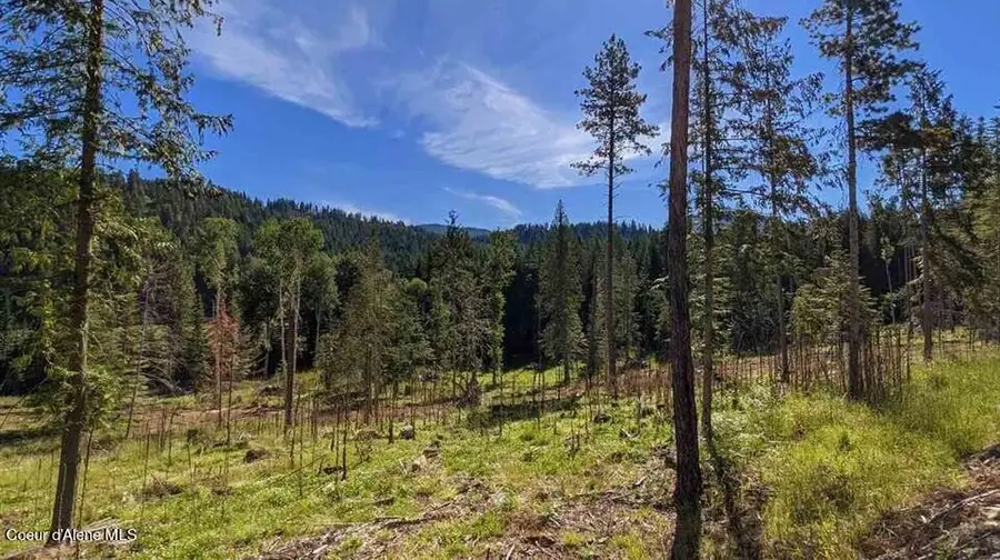 8360 Sunnyside Rd, Sandpoint, ID 83864 - #3