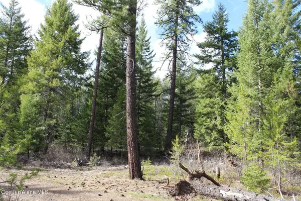 1a Lot 4 Block 109 W Adams St, Spirit Lake, ID 83869