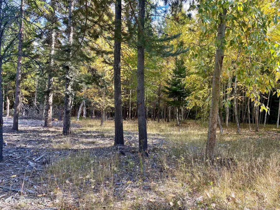 NNA Cougar Road Lot 1A, Naples, ID 83847 - #3