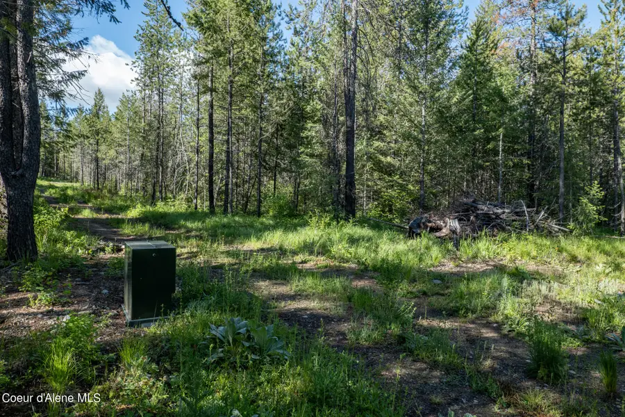 NKA Lot 4 Flat Iron, Spirit Lake, ID 83869 - #3