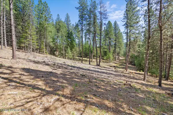 L1B1 NKA Highway 97, Harrison, ID 83833