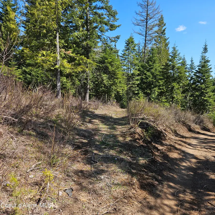 NKA Alder Creek, Saint Maries, ID 83861 - #2