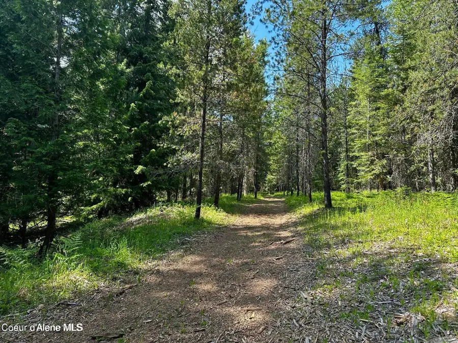 TBD Kreiger Creek Rd. Lot 1, Careywood, ID 83809 - #3
