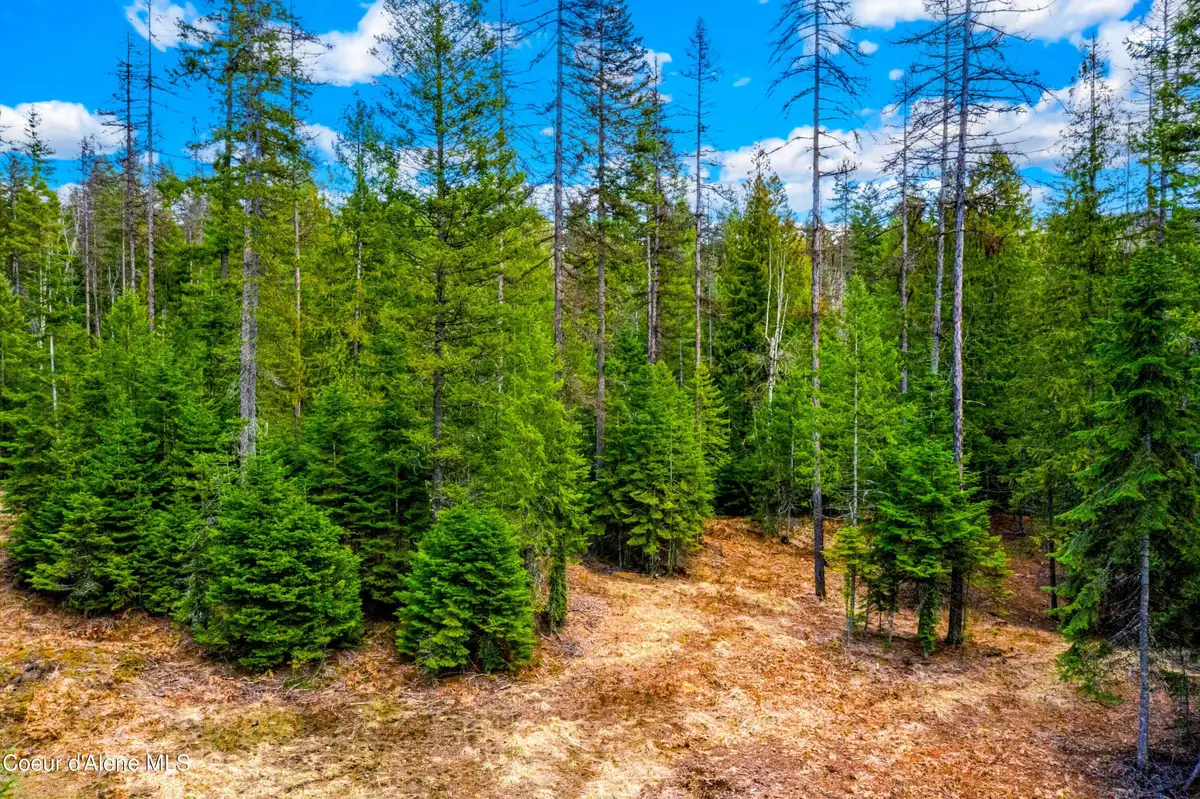 Kreiger Creek Rd., Careywood, ID 83809 - #1