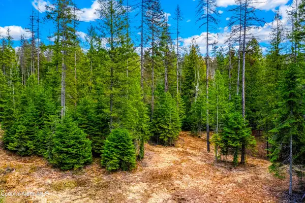 Kreiger Creek Rd., Careywood, ID 83809