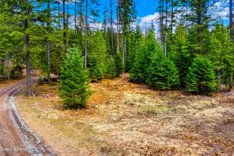 Kreiger Creek Rd., Careywood, ID 83809 - #2