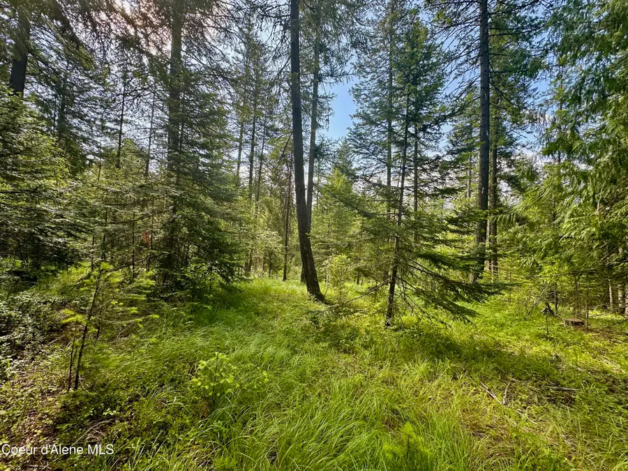 Kreiger Creek Rd., Careywood, ID 83809 - #3