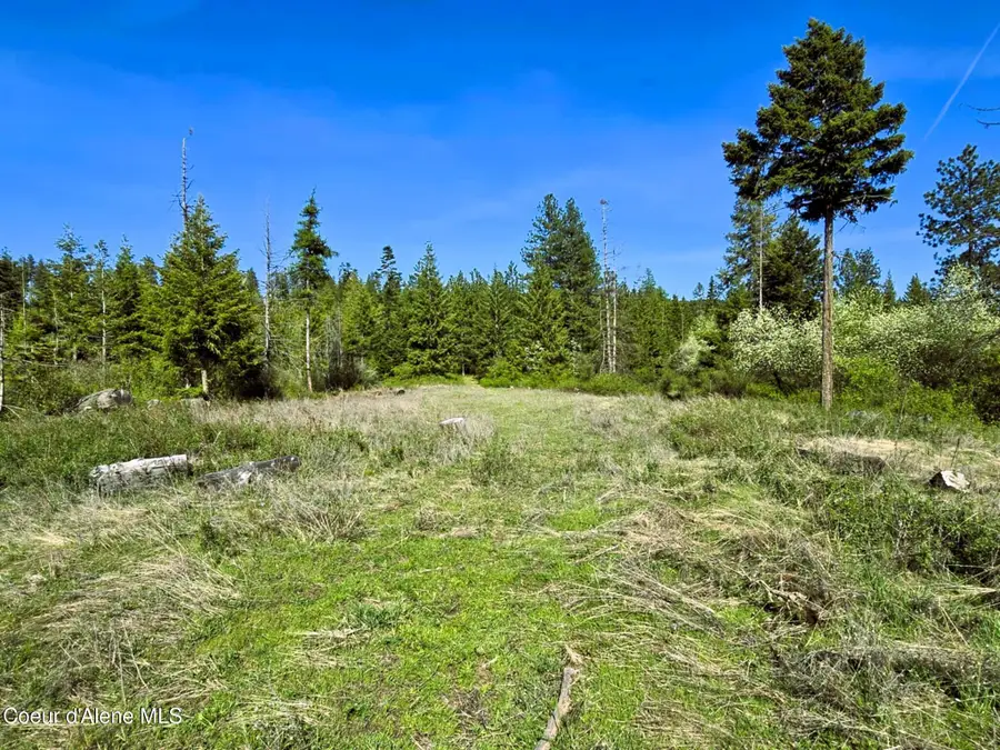 NKA E Emerald DR, Harrison, ID 83833 - #2