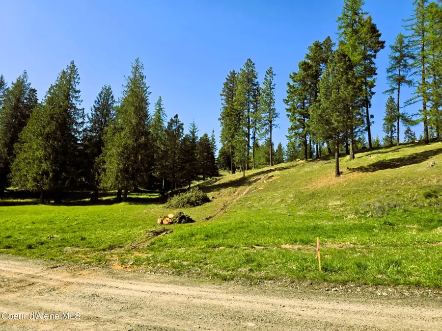 NKA E Emerald DR, Harrison, ID 83833 - #3