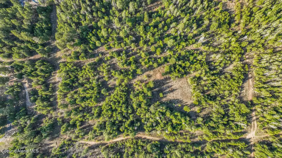 Lts 2, Spirit Lake, ID 83869 - #3