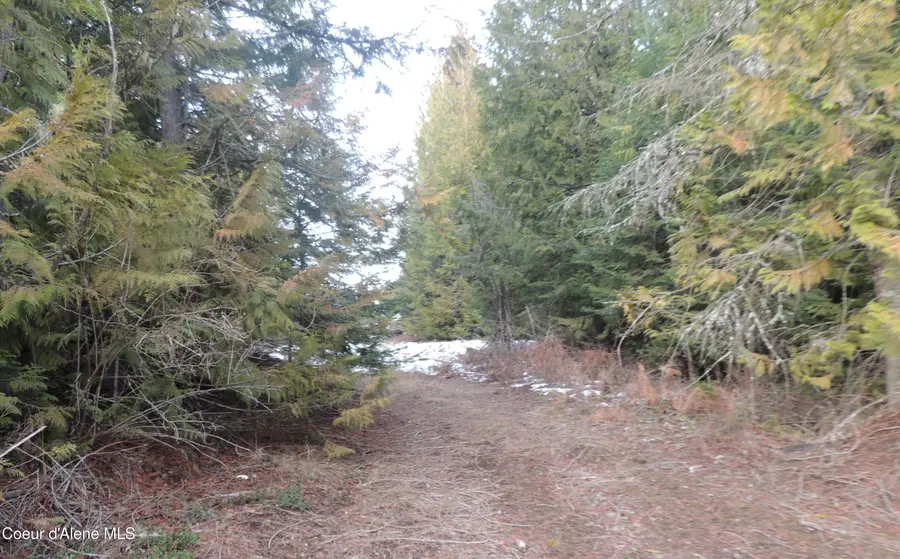 0 Balsam LN, Saint Maries, ID 83861 - #2