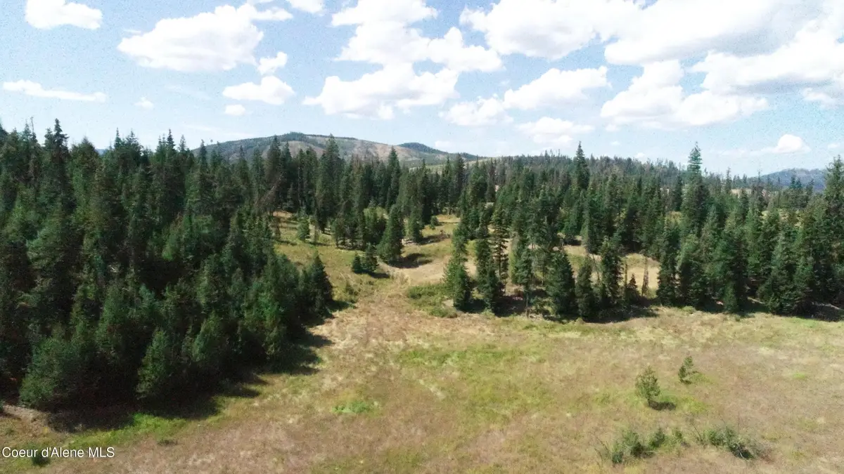 NNA lot 2 Carpenter Creek Rd, Fernwood, ID 83830 - #1