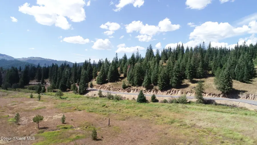 NNA lot 5 Carpenter Creek Rd, Fernwood, ID 83830 - #3