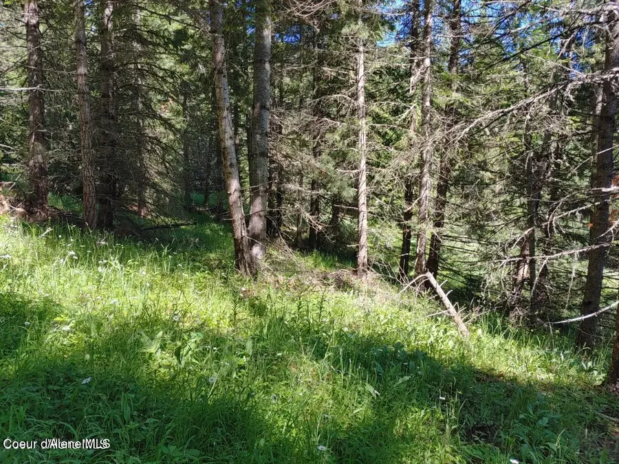 NKA Railroad Grade Rd, Saint Maries, ID 83861 - #3