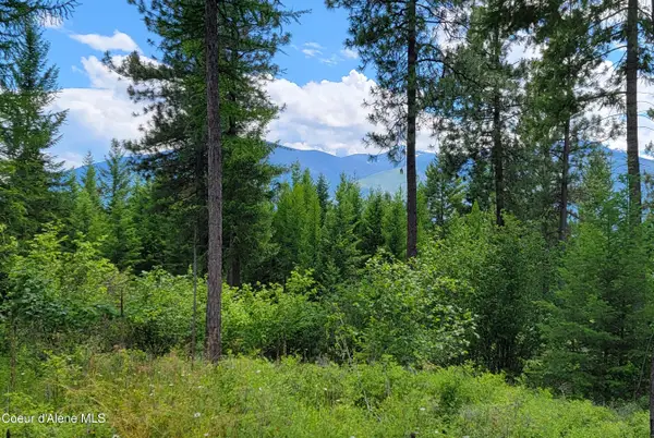 Bootlegger Lane- Parcel 1, Bonners Ferry, ID 83805