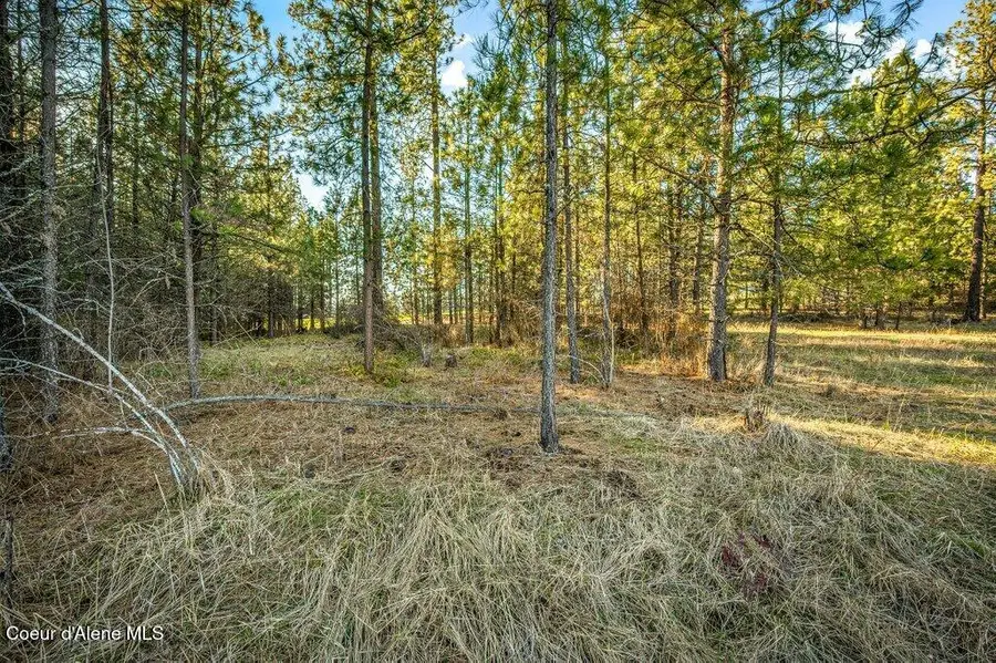 6385 W PLATINUM DR L4, Coeur Dalene, ID 83814 - #2