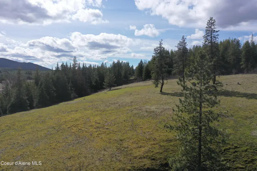 NKA Crosby Rd, Saint Maries, ID 83861 - #2