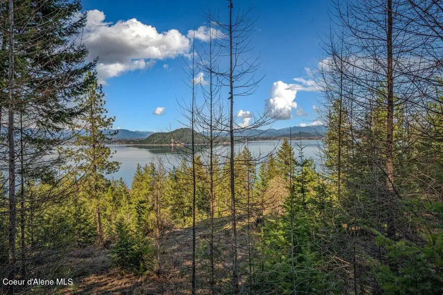 NNA Big Pine Drive, Sagle, ID 83860 - #3