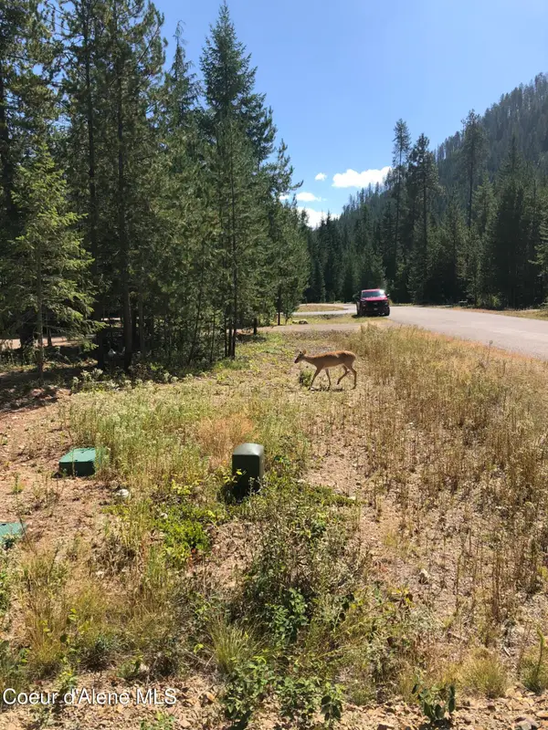 L25 TRACY LN, Priest Lake, ID 83856