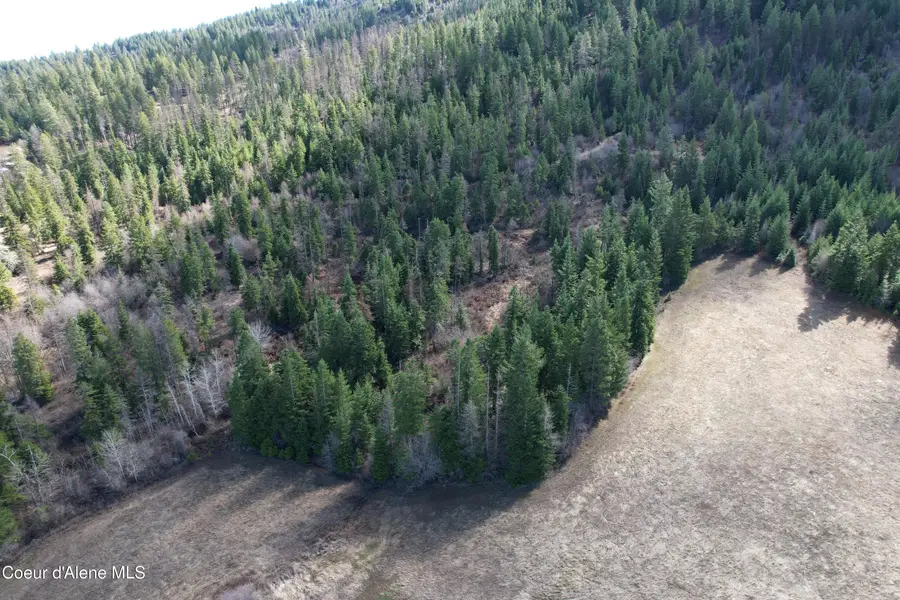 Tract 5 Thimbleberry LN, Plummer, ID 83851 - #3