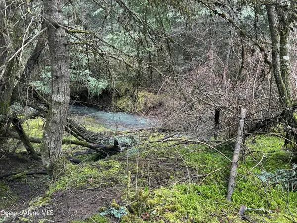 NNA E Bell Canyon Rd, Harrison, ID 83833