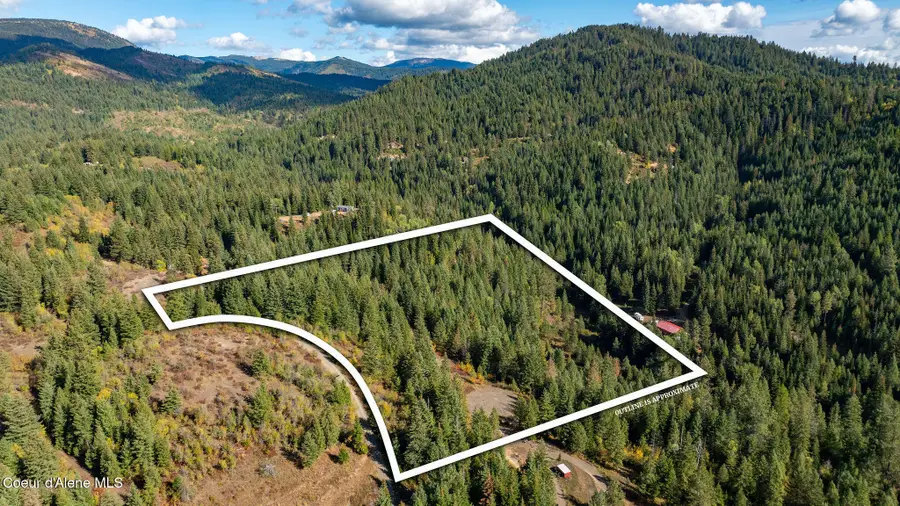 Grassy Mountain Vista, Saint Maries, ID 83861 - #3