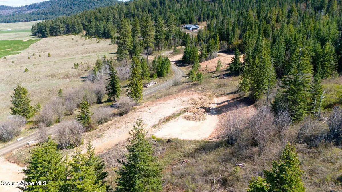 Lot 3 Lone Moose Dr, Plummer, ID 83851 - #1