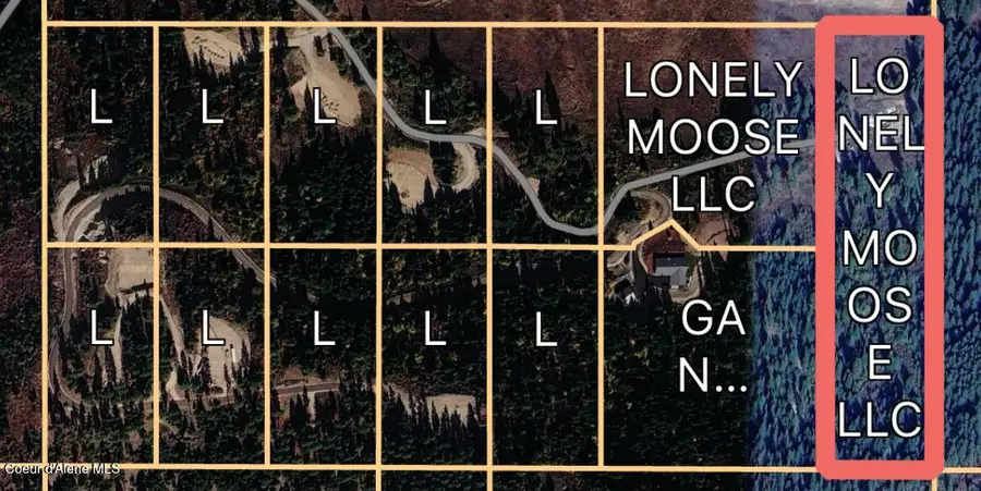 Lot 7 Lone Moose Dr, Plummer, ID 83851 - #3