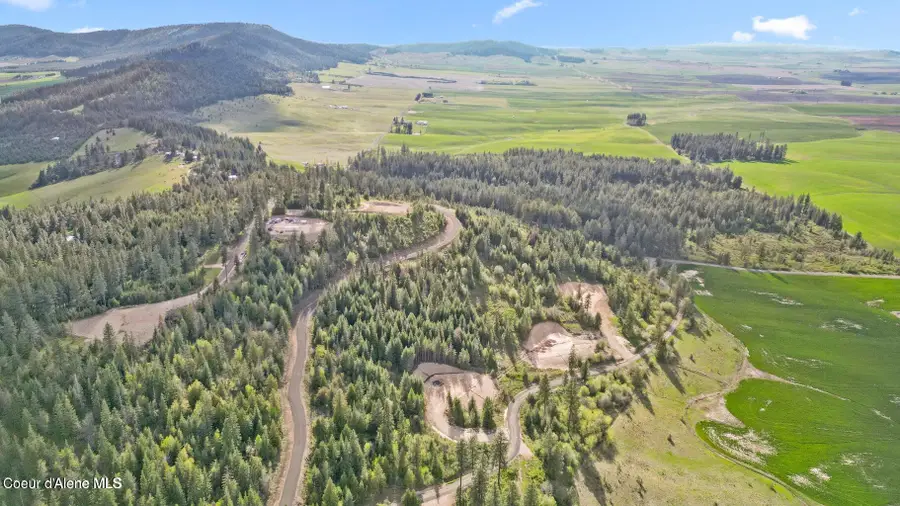 Lot 9 Lone Moose Dr, Plummer, ID 83851 - #2