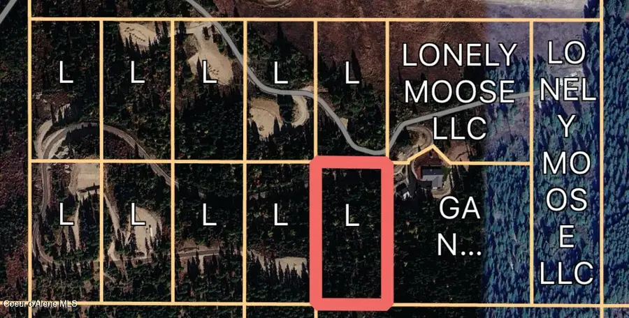 Lot 9 Lone Moose Dr, Plummer, ID 83851 - #3