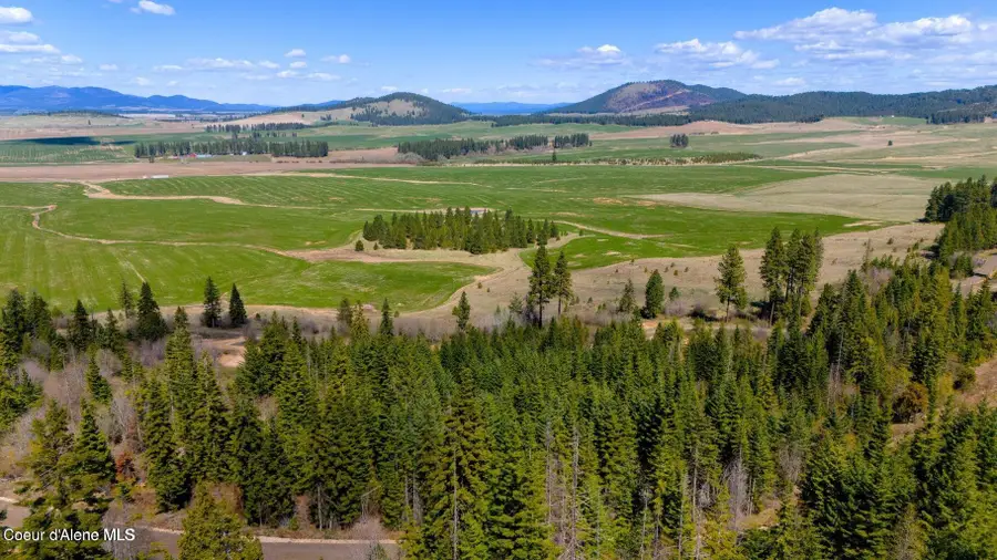 Lot 11 Lone Moose Dr, Plummer, ID 83851 - #2