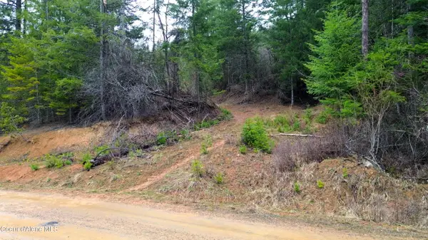 NNA Winchester Lane, St. Maries, ID 83861