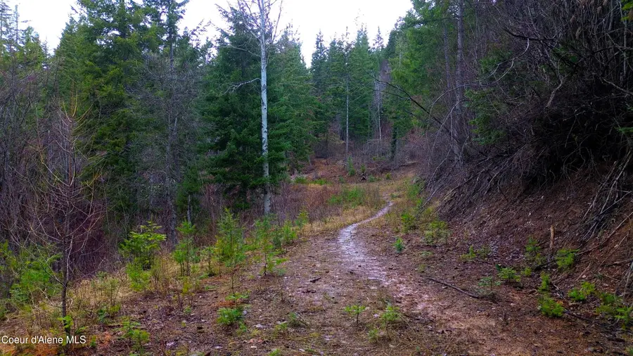 NNA Winchester Lane, Saint Maries, ID 83861 - #2