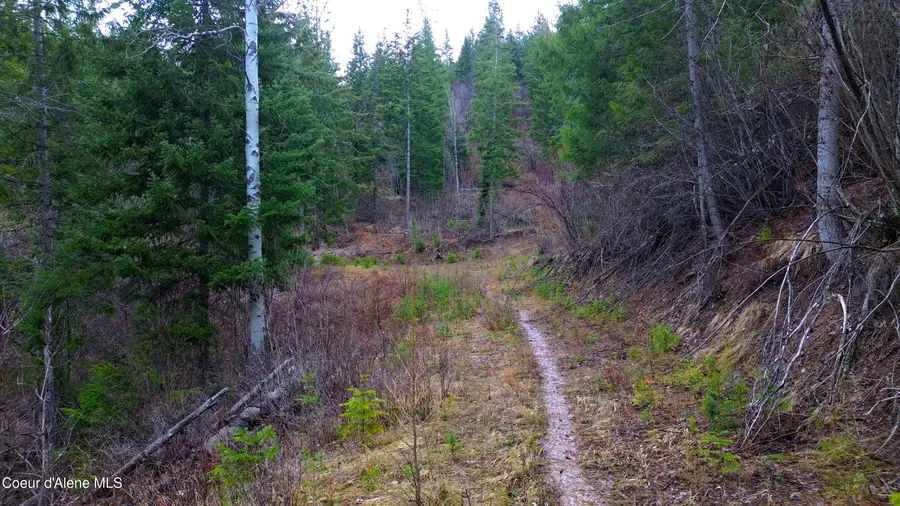 NNA Winchester Lane, Saint Maries, ID 83861 - #3