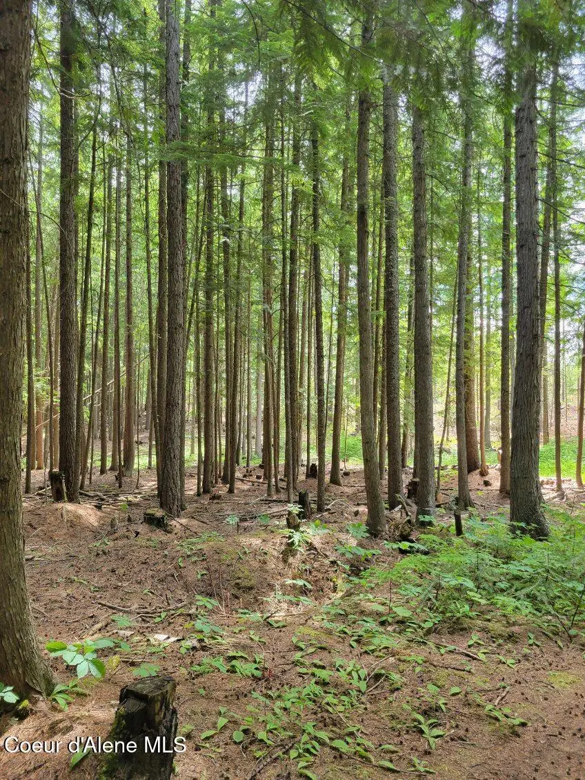 NNA 17 Christmas Lane, Naples, ID 83847 - Image #2