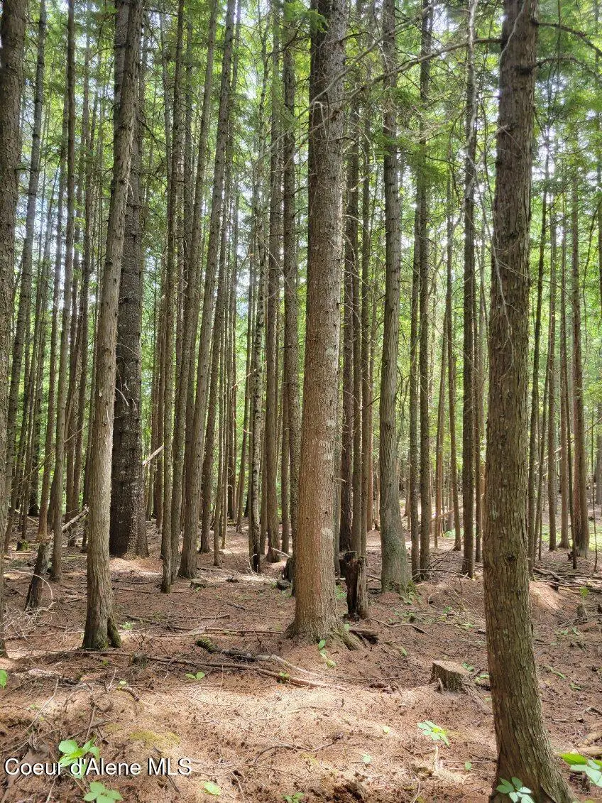 NNA 17 Christmas Lane, Naples, ID 83847 - Image #3