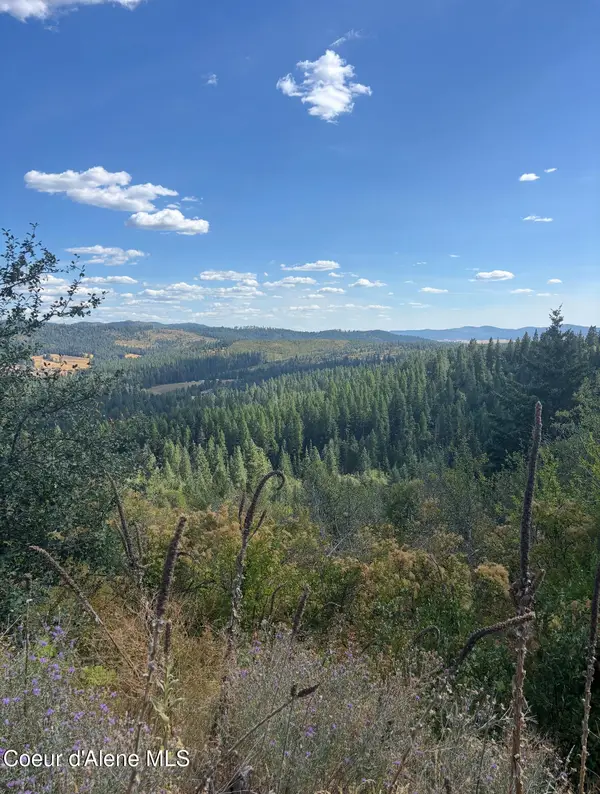 14.75 Acre Treetop LN Parcel 2, Plummer, ID 83851