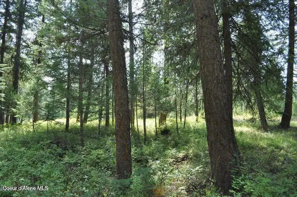 39 Forest Ridge RD, Blanchard, ID 83804
