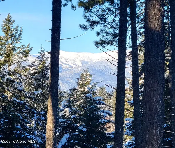 Wildflower Way, Sandpoint, ID 83864