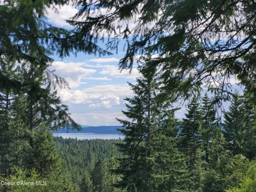NKA S Skyview Rd, Harrison, ID 83833 - #2