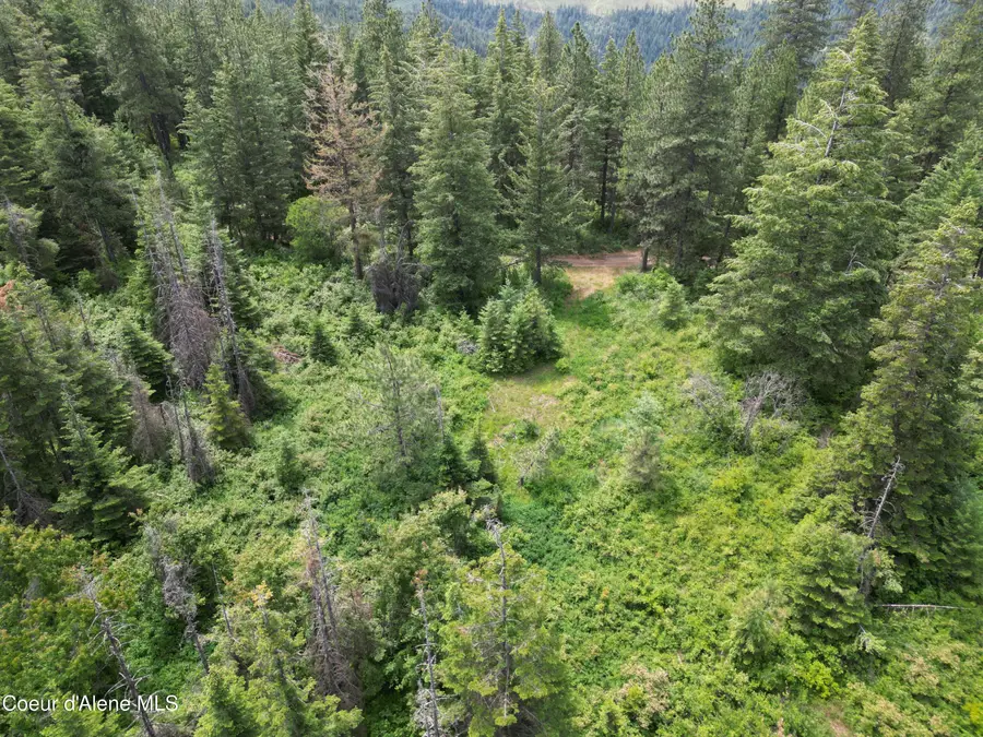NKA INITIAL PEAK RD, Cataldo, ID 83810 - #2