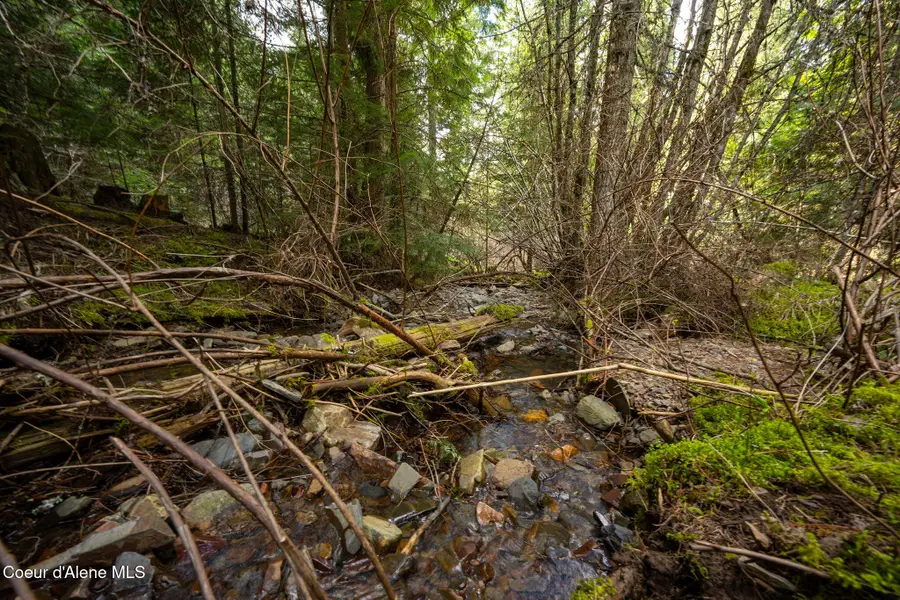 NKA Evans Creek Rd, Medimont, ID 83842 - #2