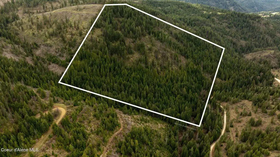 NKA Evans Creek Rd, Medimont, ID 83842 - #3