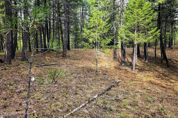 NLA Dusty Lane, Naples, ID 83847