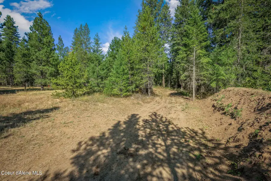 L3 Smokewood Dr, Athol, ID 83801 - #3