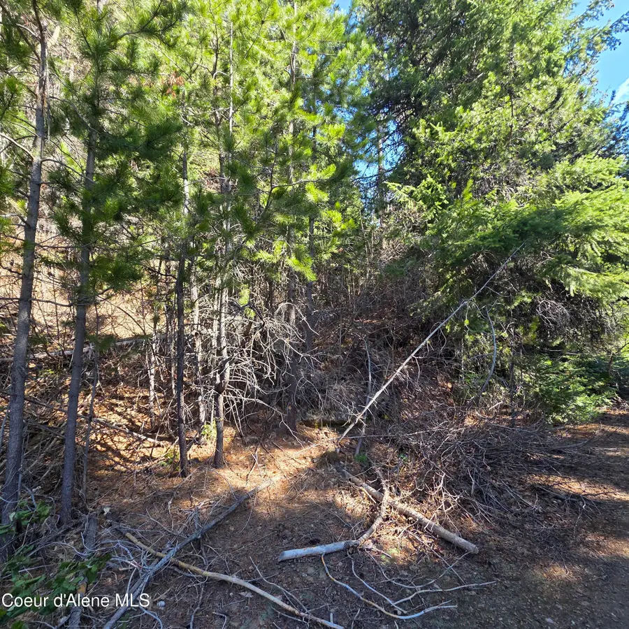 0 Adams Creek RD, Fernwood, ID 83830 - #2