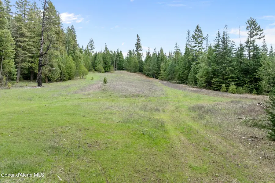 NNA Mesa DR, Athol, ID 83801 - #2